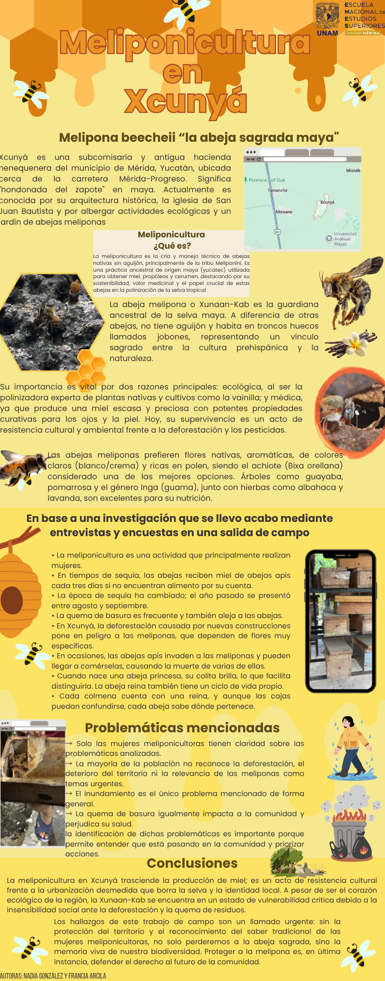 Infografía de Meliponicultura en Xcunyá